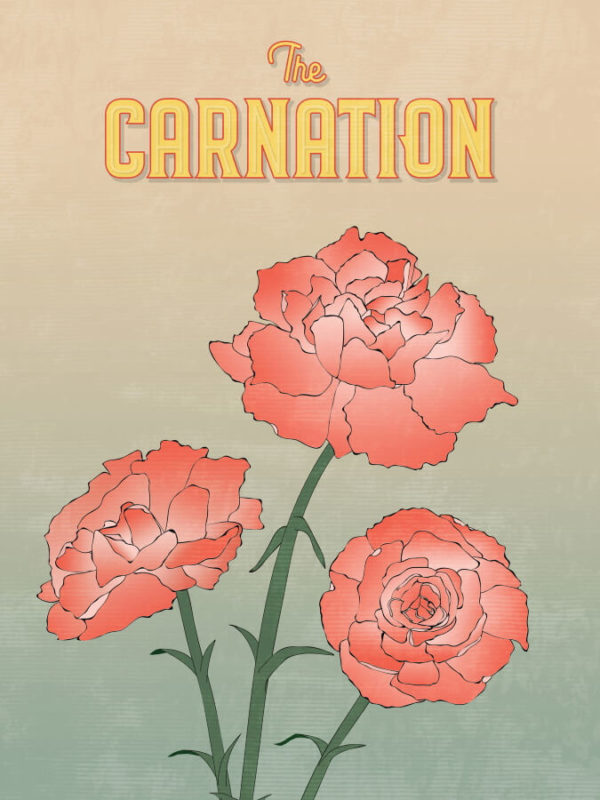 Red Carnation Flowers Illustration