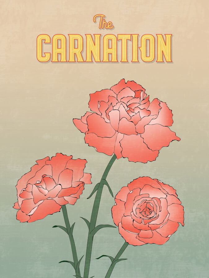 The Carnation Poster