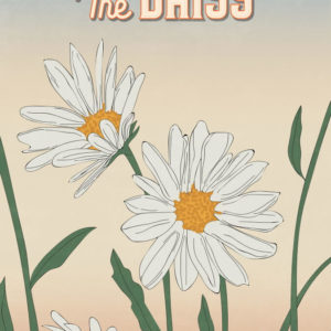 White Daisy Flowers Illustration