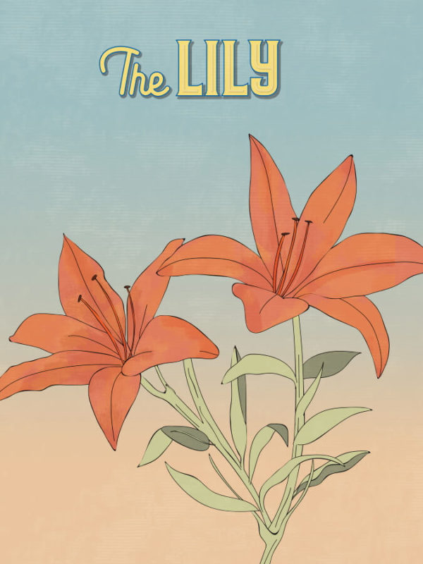 Orange Lily Flowers Illustration