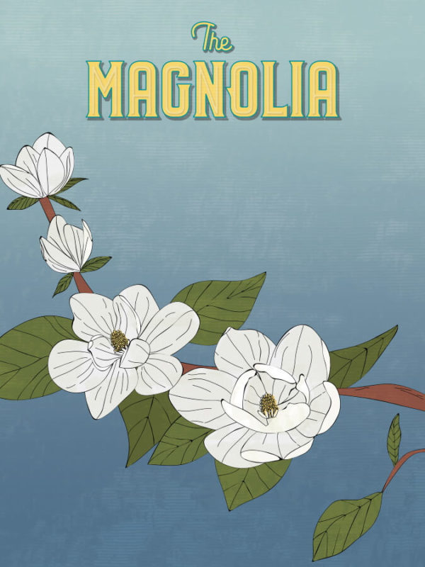 White Magnolia Flowers Illustration