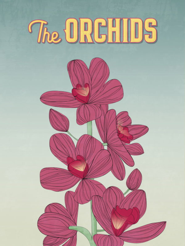 Pink Orchids Illustration