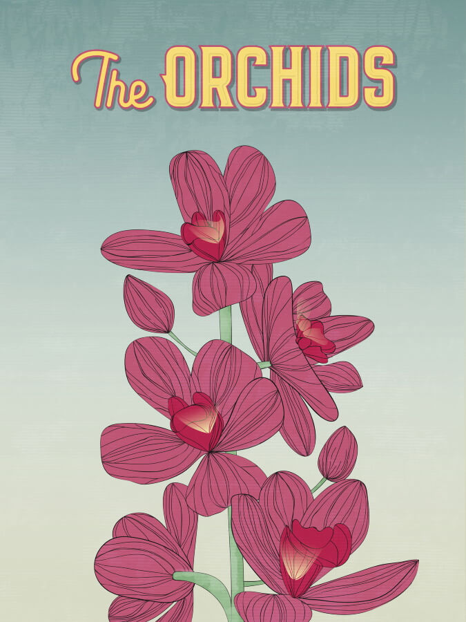 The Orchids Poster