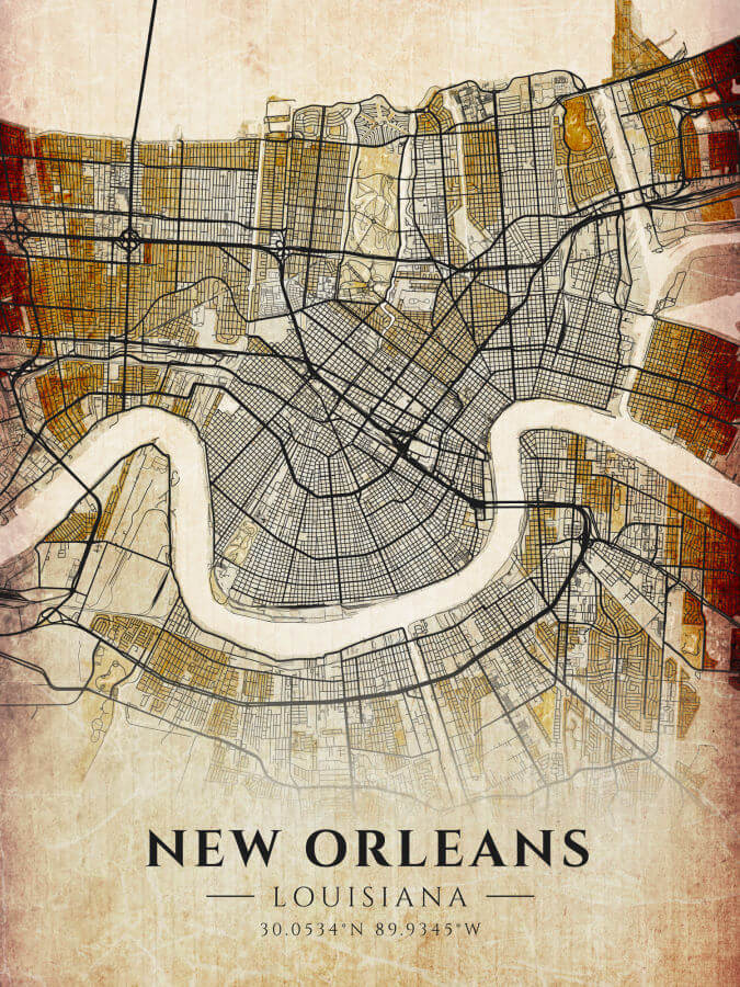New Orleans Louisiana Antique Map Illustration