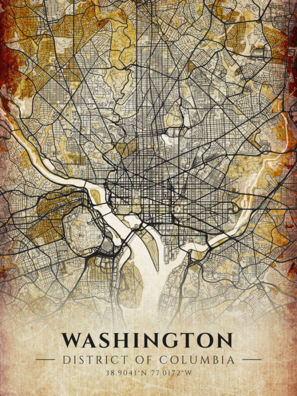 Washington District Of Columbia Antique Map Illustration