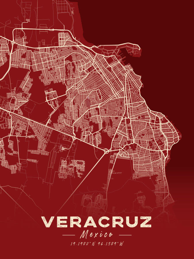 Veracruz Map Cartel Style