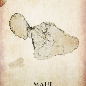 Maui Hawaii Vintage US Island Map