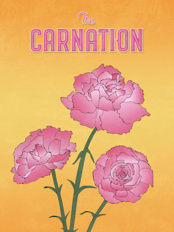 Bright Pink Carnation Flower Poster Wall Art