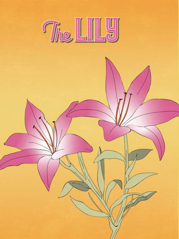 Bright Pink Lily Poster Wall Art