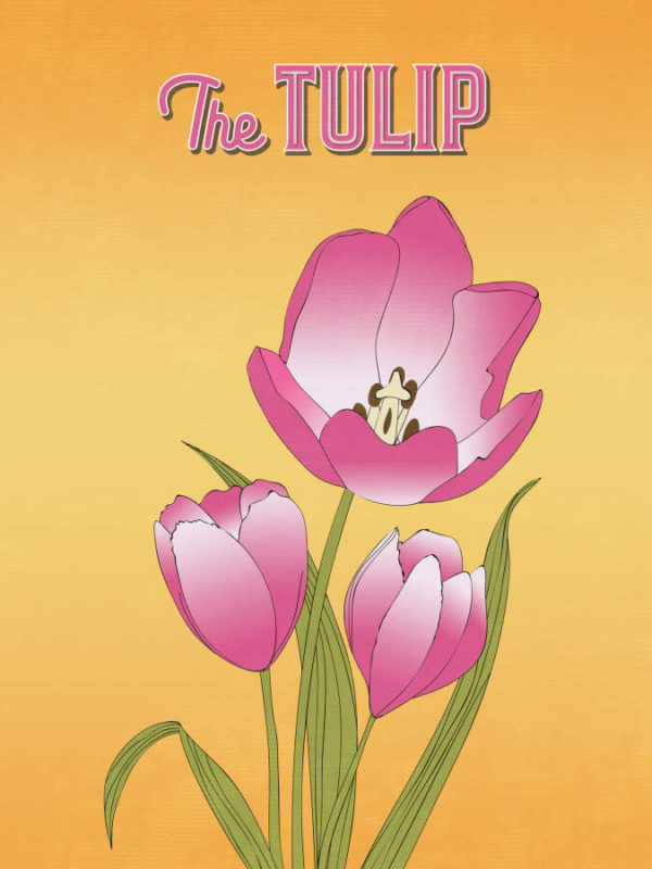 Bright Pink Tulip Flower Poster Wall Art