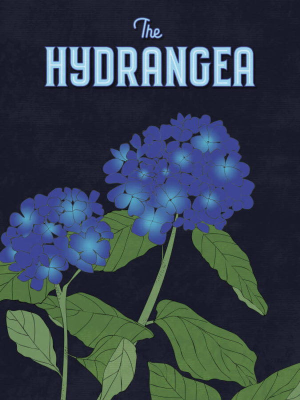 Deep Blue Hydrangea Poster Wall Art