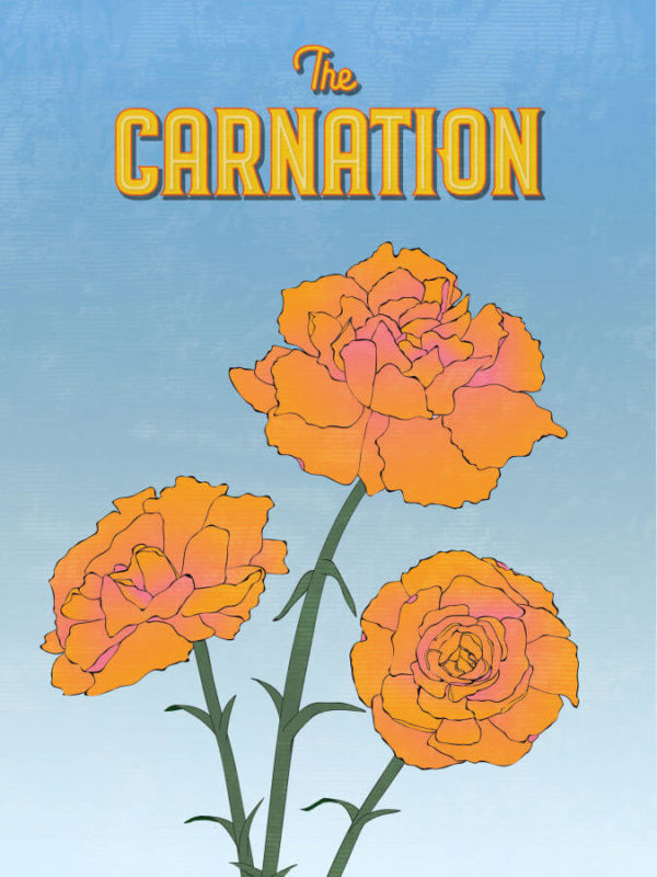 Fiery Orange Carnation Flower Poster Wall Art