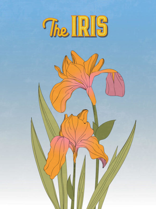 Fiery Orange Iris Poster Wall Art