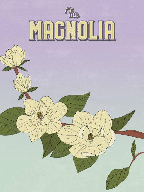 Pale Lilac Magnolia Poster Wall Art