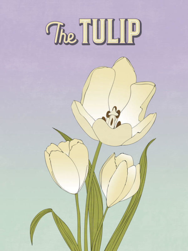 Pale Lilac Tulip Flower Poster Wall Art