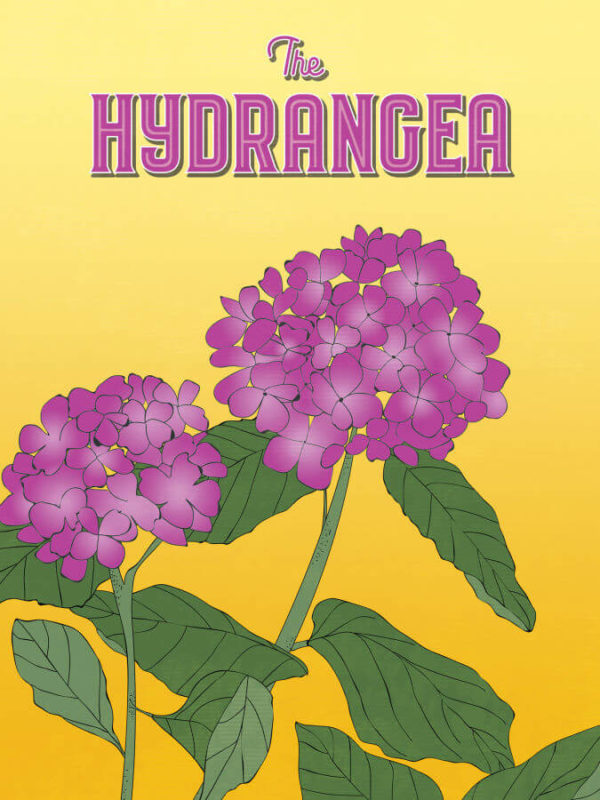 Purple Gold Hydrangea Poster Wall Art