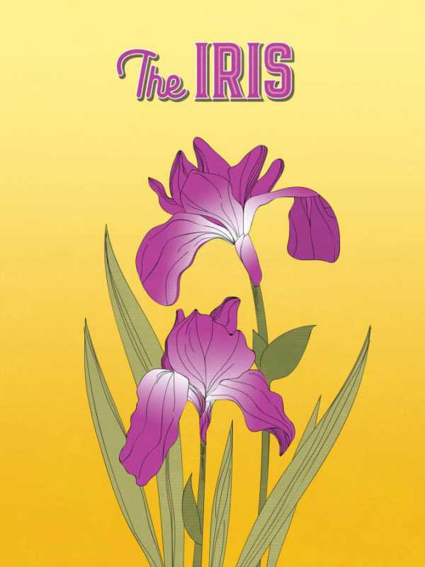 Purple Gold Iris Poster Wall Art