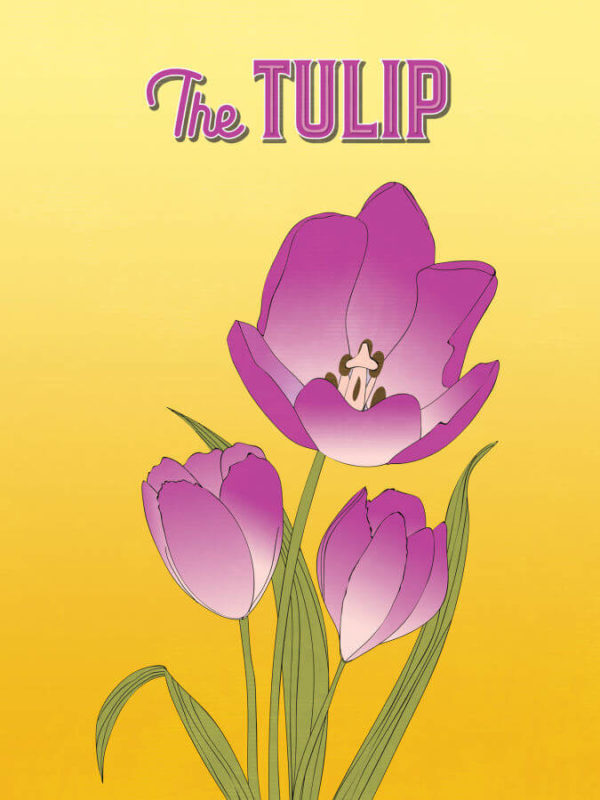 Purple Gold Tulip Flower Poster Wall Art