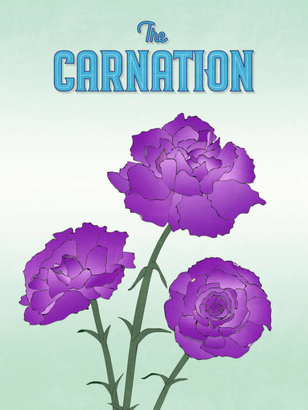 Strong Purple Carnation Flower Poster Wall Art