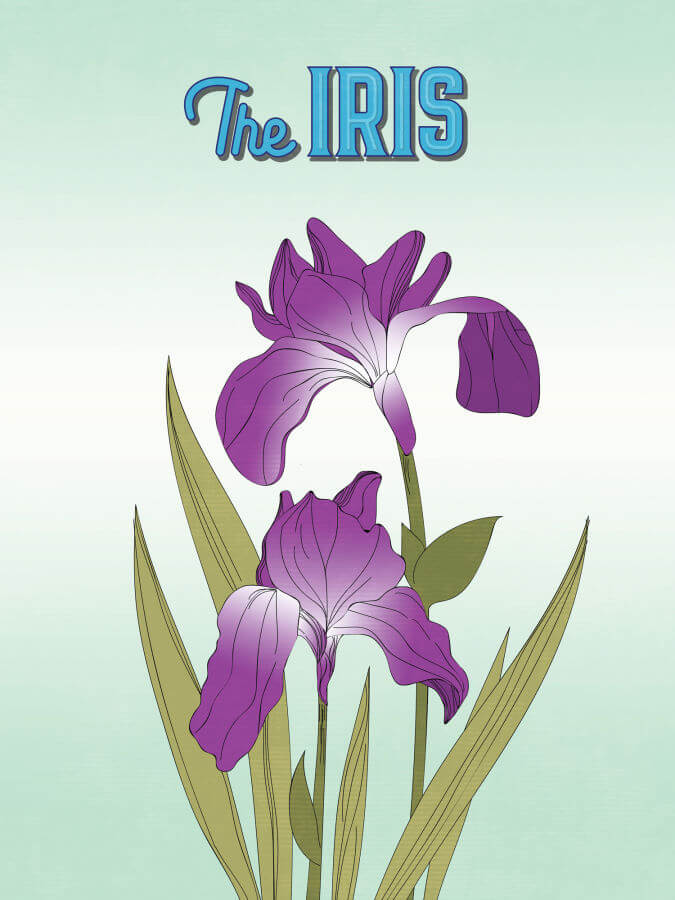 The Iris Print and Poster By: Larica Lim - Winter Museo