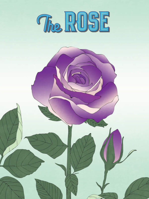 Strong Purple Rose Poster Wall Art