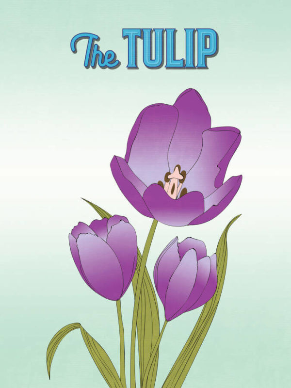 Strong Purple Tulip Flower Poster Wall Art