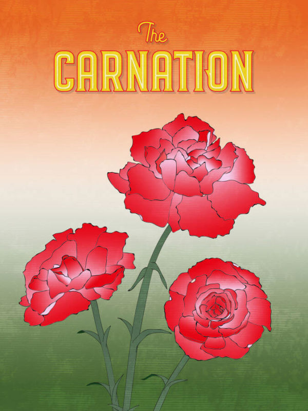 Vibrant Red Carnation Flower Poster Wall Art