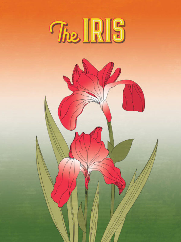 Vibrant Red Iris Poster Wall Art