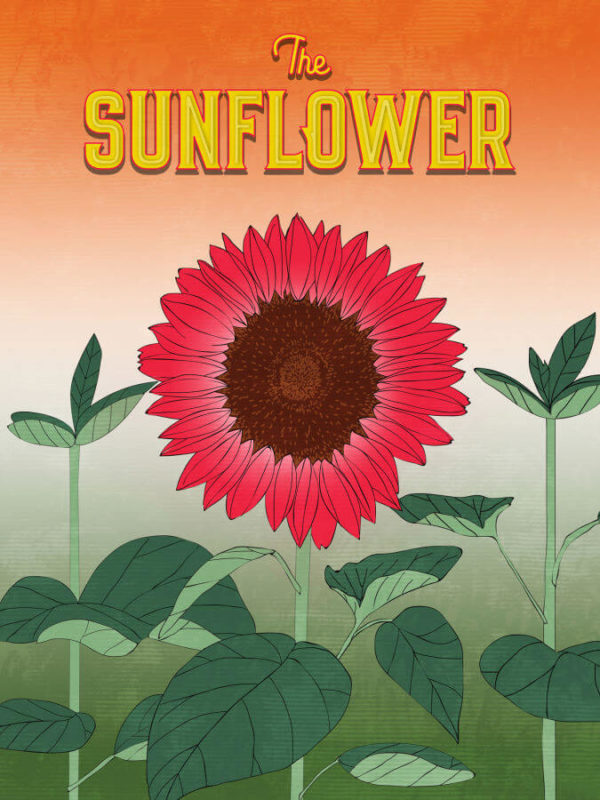 Vibrant Red Sunflower Poster Wall Art