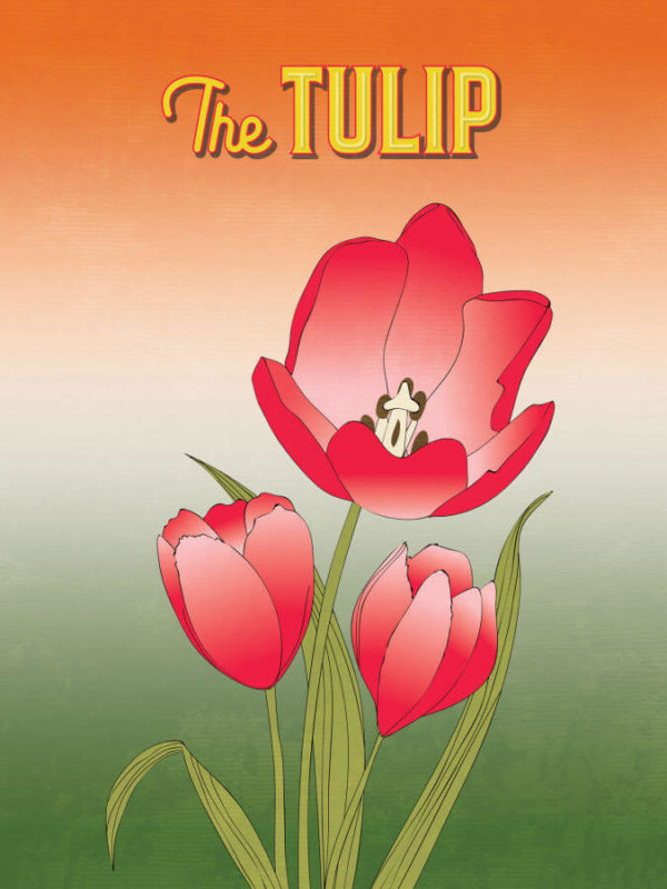 Vibrant Red Tulip Flower Poster Wall Art