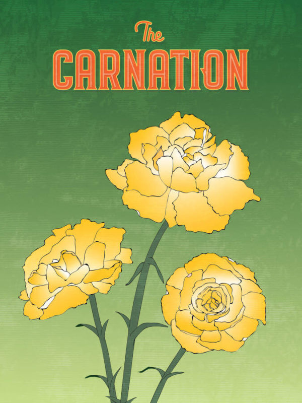 Warm Yellow Carnation Flower Poster Wall Art