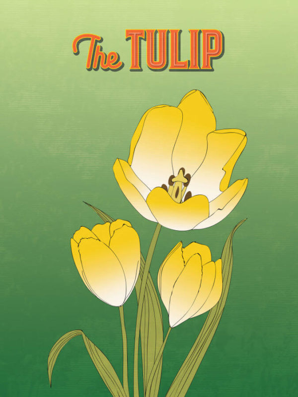 Warm Yellow Tulip Flower Poster Wall Art