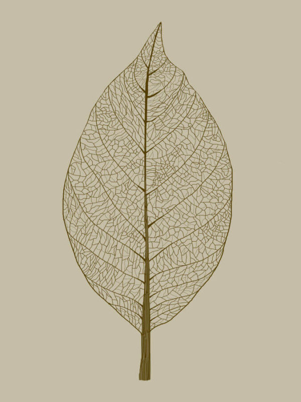 Leaf Original Abstract Poster
