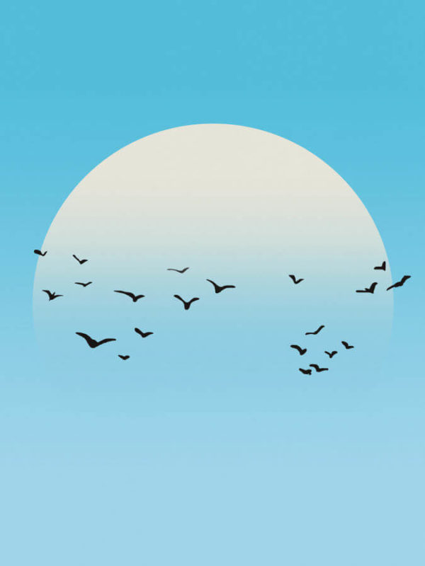 Sun Birds Cool Abstract Poster