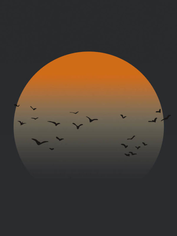 Sun Birds Dark Abstract Poster