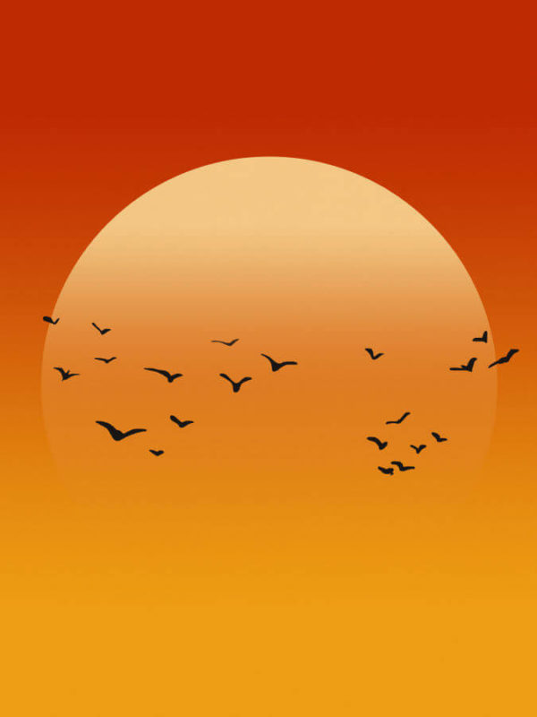 Sun Birds Warm Abstract Poster